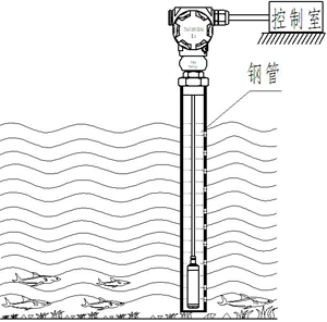 小魚(yú)